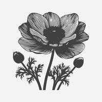 Majestic Dance of Anemone, A Captivating Silhouette vector