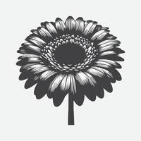 Print Elegant Gerbera Flower Silhouette Art vector