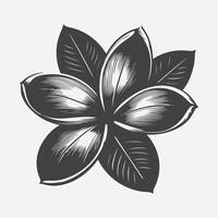 Captivating Plumeria Flower Silhouette, A Perfect Blend of Elegance and Simplicity vector
