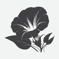 Enchanting Silhouette of the Morning Glory Flower vector