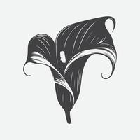 Print Ethereal Elegance, Majestic Silhouette of the Calla Lily Flower vector