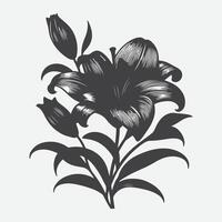 Print Elegant Lily Flower Silhouette, Timeless Beauty in Black and White vector