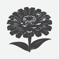 Majestic Zinnia Flower Silhouette, Captivating Elegance in Simplicity vector