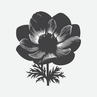 Majestic Dance of Anemone, A Captivating Silhouette vector