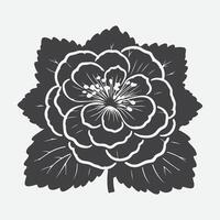 Elegant Begonia Flower Silhouette, A Captivating Display of Nature's Grace vector
