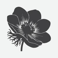 Majestic Dance of Anemone, A Captivating Silhouette vector