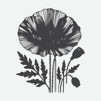 Captivating Poppy Flower Silhouette Art, Nature's Elegance in Minimalism vector