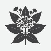 impresión encantador lantana flor silueta, un visual sinfonía de de la naturaleza elegancia vector