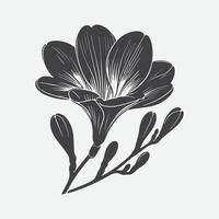 Captivating Freesia Flower Silhouette, A Delicate Dance of Shadows vector