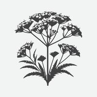 Print Captivating Silhouettes, The Elegance of Verbena Flowers in Shadow vector