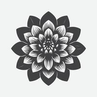 Majestic Dahlia Flower Silhouette, Capturing Nature's Elegance in Every Detail vector