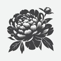 Captivating Elegance, Peony Flower Silhouette Art vector