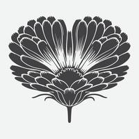 Print Stunning Silhouette, The Majestic Beauty of the Calendula Heart Flower vector