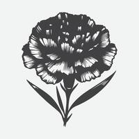 Print Captivating Carnation Flower Silhouettes, Artistry in Floral Shadows vector