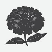 Majestic Zinnia Flower Silhouette, Captivating Elegance in Simplicity vector