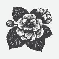 Elegant Begonia Flower Silhouette, A Captivating Display of Nature's Grace vector