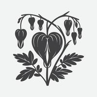 Print Enchanting Elegance, The Striking Silhouette of the Bleeding Heart Flower vector