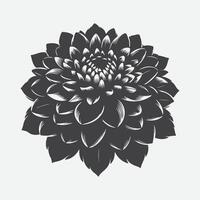 Majestic Dahlia Flower Silhouette, Capturing Nature's Elegance in Every Detail vector