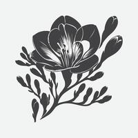 Captivating Freesia Flower Silhouette, A Delicate Dance of Shadows vector