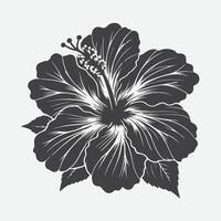 Print Exquisite Hibiscus Flower Silhouette, Capturing Nature's Beauty in Minimalist Art vector