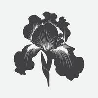 Enchanting Iris Flower Silhouette, A Timeless Symbol of Elegance and Beauty vector