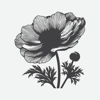 Majestic Dance of Anemone, A Captivating Silhouette vector