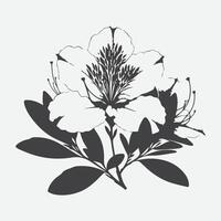 Captivating Azalea Flower Silhouette, A Blend of Elegance and Simplicity vector