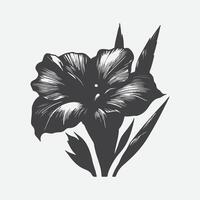 Print Zenithal Majesty, The Enigmatic Silhouette of Canna Flower vector