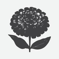 Majestic Zinnia Flower Silhouette, Captivating Elegance in Simplicity vector