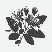 Print Captivating Elegance, The Enchanting Silhouette of Honeysuckle Flowers vector