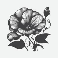 Print Enchanting Silhouette of the Sweet Pea Flower, A Botanical Masterpiece vector