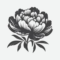 Captivating Elegance, Peony Flower Silhouette Art vector