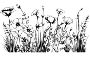 Hand drawn ink sketch of meadow wild flower landscape. Engraved style illustration. vector
