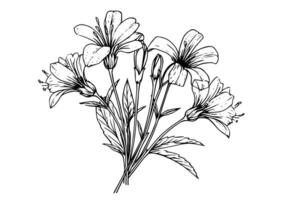 salvaje flor mano dibujado tinta bosquejo. grabado retro estilo ilustración. vector