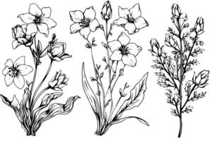 Wild flower set hand drawn ink sketch. Engraved retro style illustration pack. vector