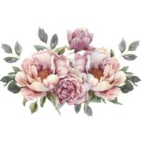 Watercolor Peony Flower On Transparent Background png