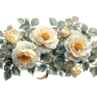 Watercolor Peony Flower On Transparent Background png