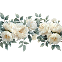 vattenfärg pion blomma på transparent bakgrund png