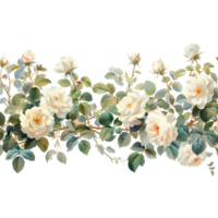 vattenfärg pion blomma på transparent bakgrund png