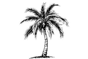 Vintage Hand-Drawn Palm Tree Sketch Illustration Retro Tropical Coconut Trees. vector