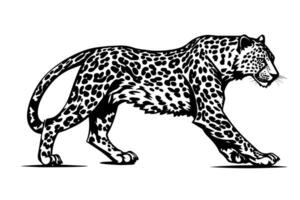 negro y blanco mano dibujado tinta bosquejo de leopardo camina. ilustración. vector