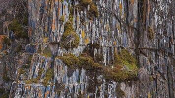 geological rock formation with vertical structure and moss covered spots, arc camera movement video