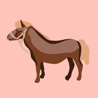 Illustration of a pony animal. vector