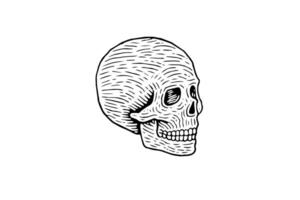 Clásico humano cráneo grabado anatomía ilustración. logo sencillo icono. vector