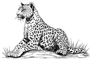 negro y blanco mano dibujado tinta bosquejo de sentado leopardo. ilustración. vector