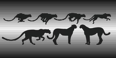 Cheetah running silhouette with black stripes at the background. vector