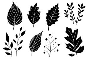 Set of lino cut stamp black leaves and branch imprints on white background. Hand drawn floral elements. vector