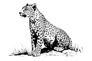 negro y blanco mano dibujado tinta bosquejo de sentado leopardo. ilustración. vector