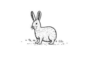 Vintage Rabbit Sketch Hand-Drawn Illustration, Easter Bunny. vector