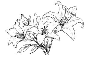 Vintage Floral Frame Hand-Drawn Engraved Sketch Bouquet in Linear Ink. vector